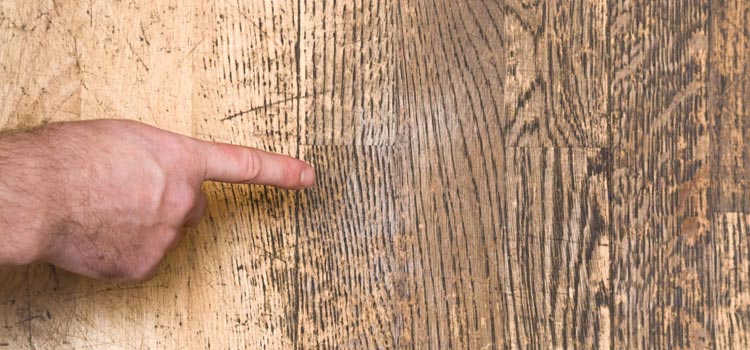 Wood Door Scratch Repair in Riverside